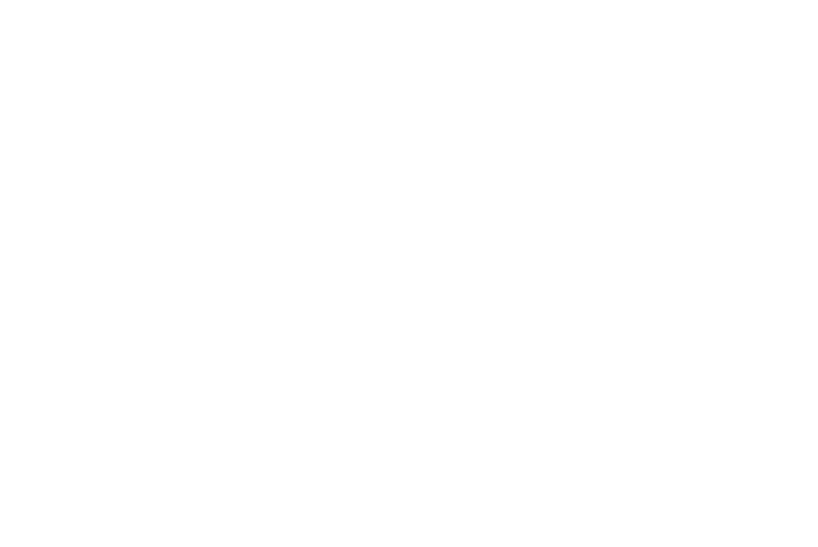 Daytona Homes logo